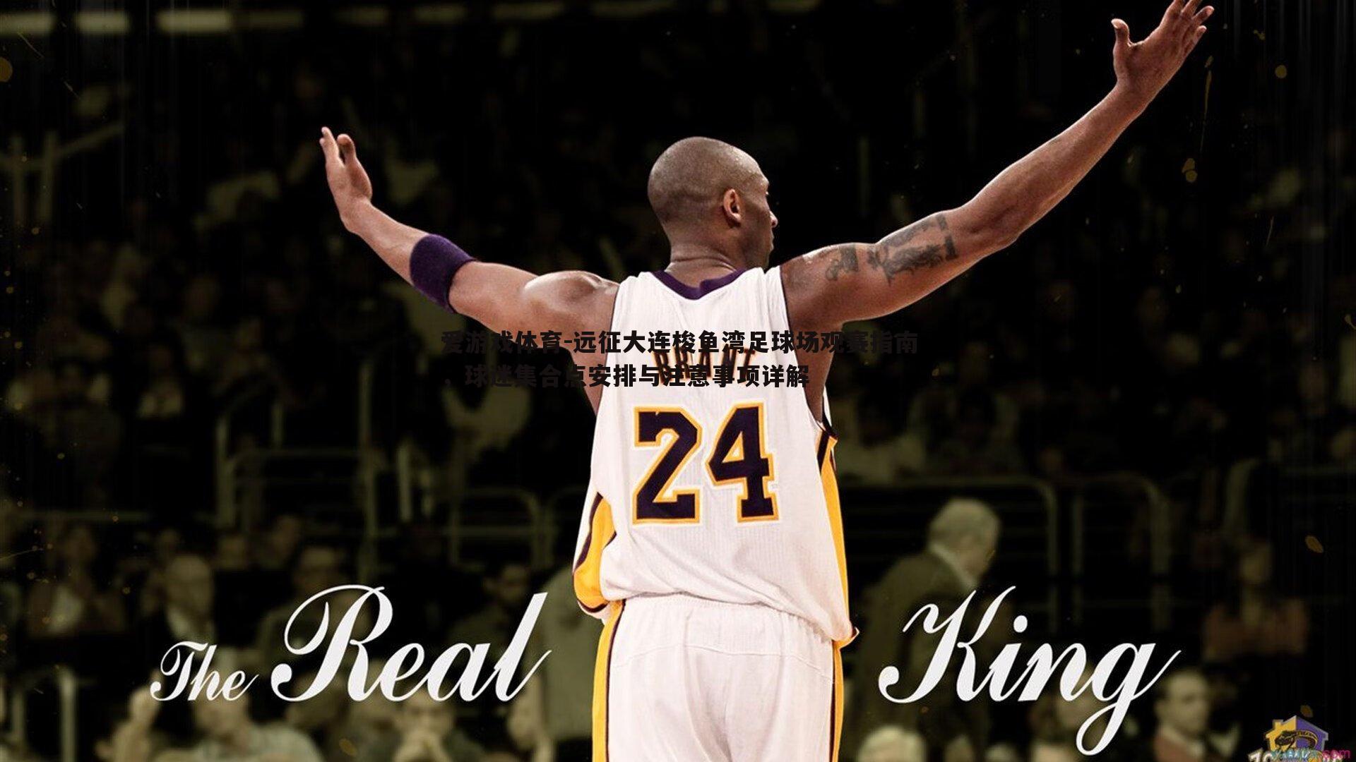 远征大连梭鱼湾足球场观赛指南,球迷集合点安排与注意事项详解